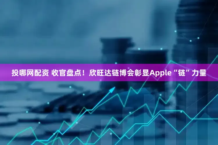 投哪网配资 收官盘点！欣旺达链博会彰显Apple“链”力量