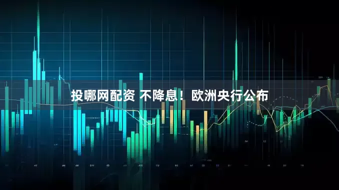 投哪网配资 不降息！欧洲央行公布