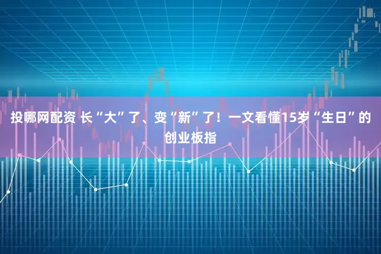 投哪网配资 长“大”了、变“新”了!一文看懂15岁“生日”的创业板指